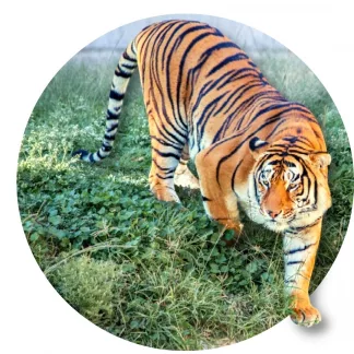 zoologico-guadalaja-gdl-privado