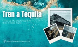 Tren a Tequila Portada