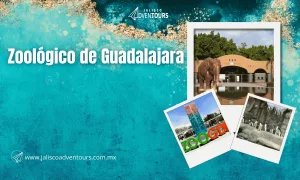 Zoológico Guadalajara