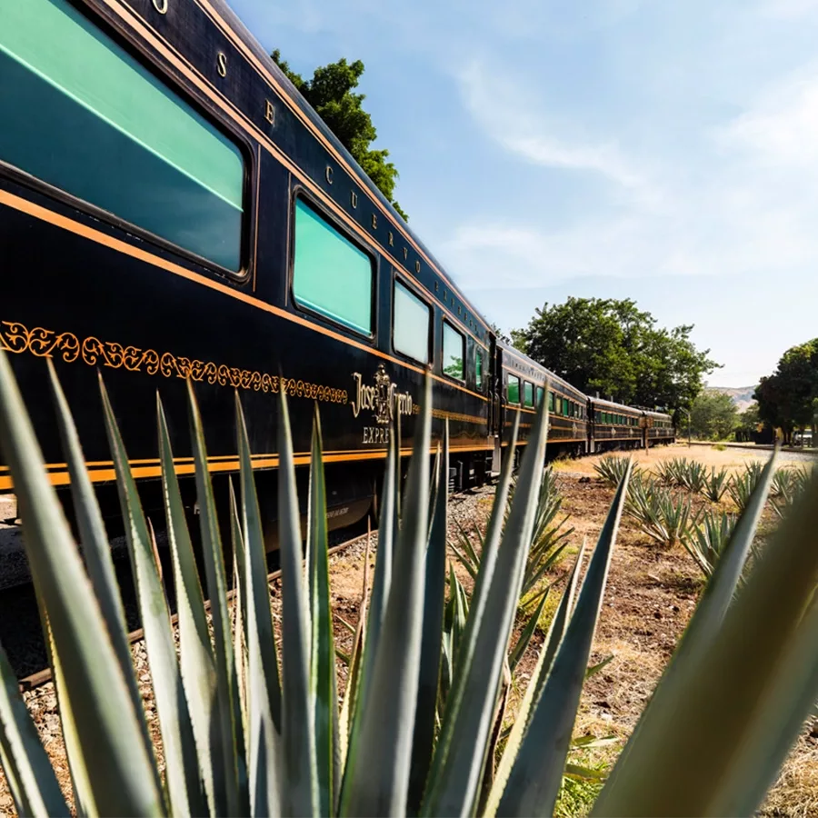 tren jose cuervo